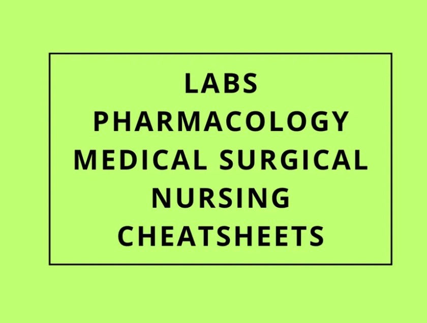 Free Nursing Cheat Sheets Bundle
Labs • Pharmacology • Med-Surg